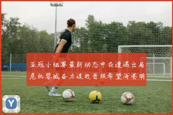 亚冠小组赛最新动态申花遭遇出局危机蓉城奋力追赶晋级希望海港明日迎战挑战